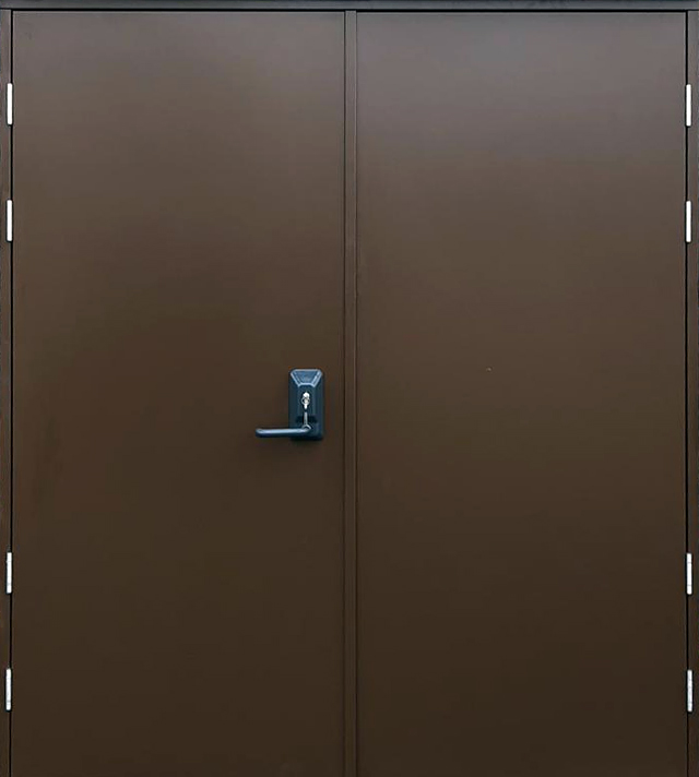 Дверь ЛД-258 двустворчатая окрашенная